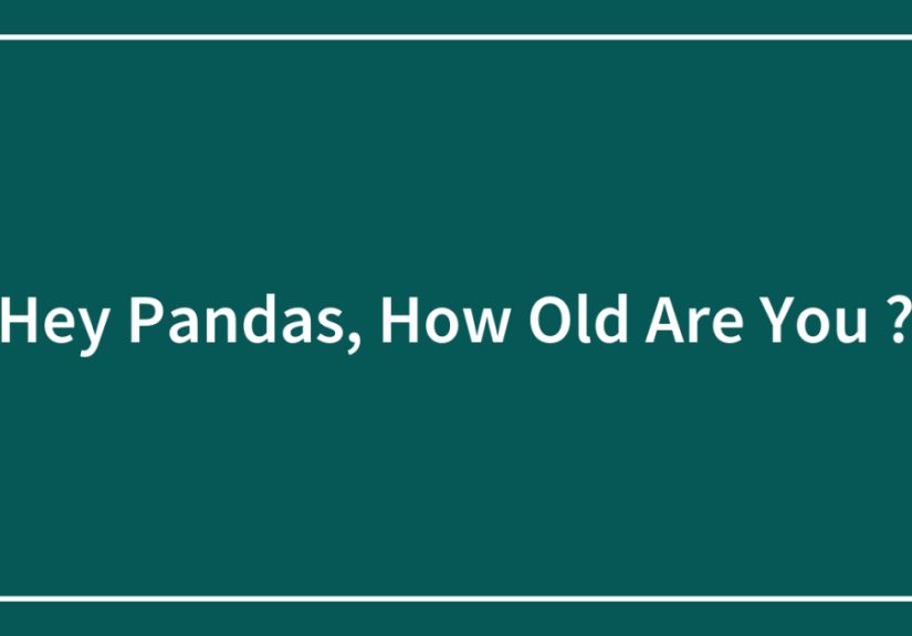 Hey Pandas, How Old Are You ?