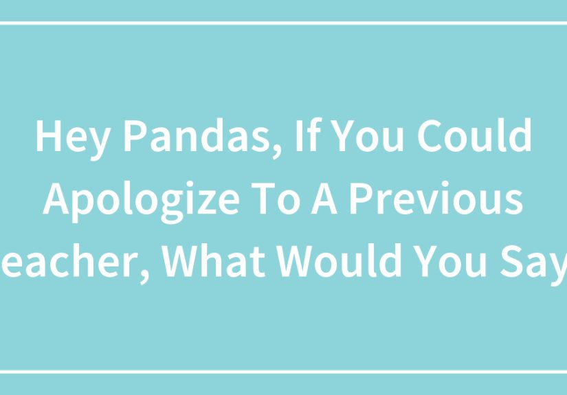 Hey Pandas, If You Could Apologize To A Previous Teacher, What Would You Say?