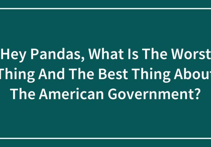 Hey Pandas, What Is The Worst Thing And The Best Thing About The American Government?