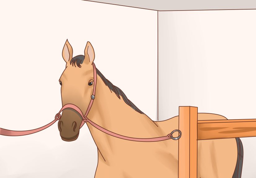 Horse Name Generator: Find The Perfect Name Here