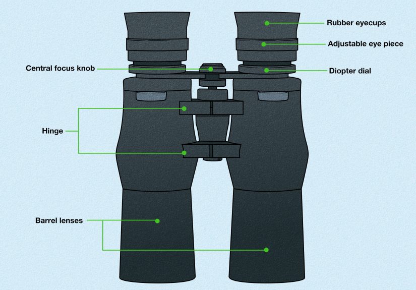 How to Focus Binoculars for a Sharp, Clear View