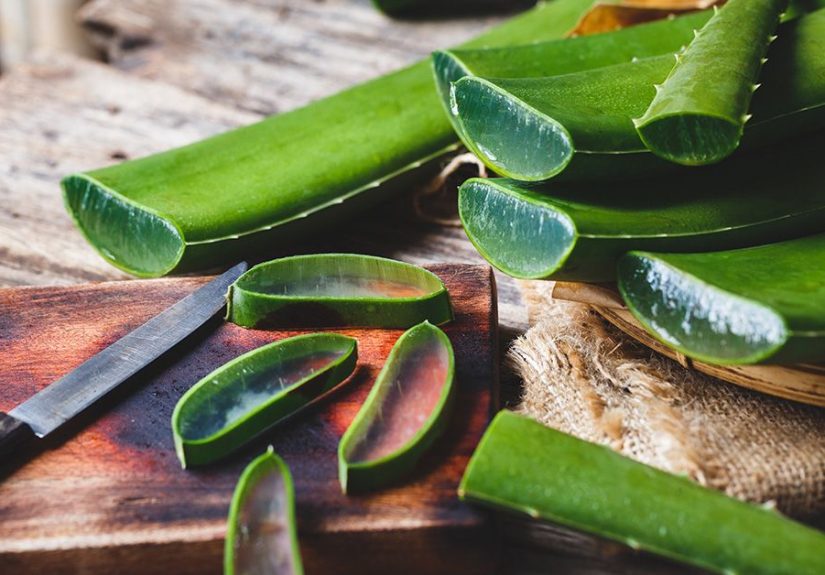 How to Use Aloe Vera Plant: Benefits, Risks, and More