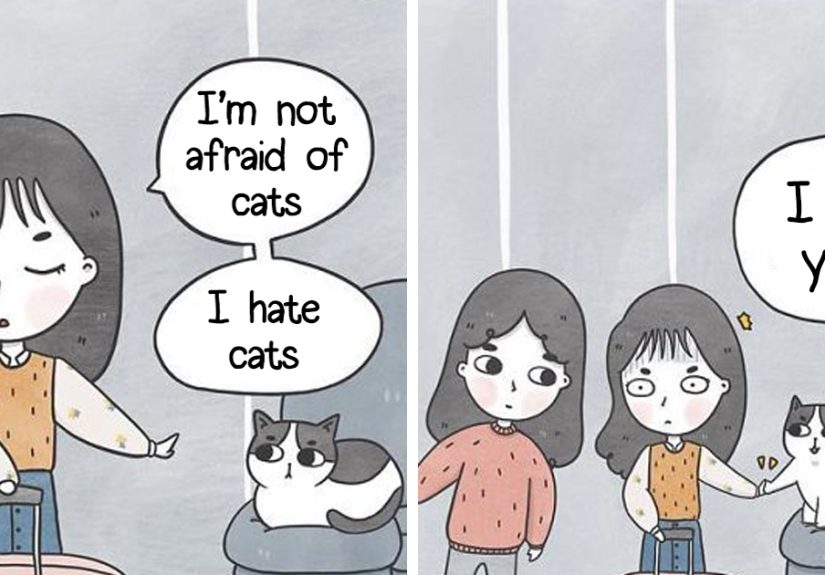 I Document My Life With A Cat In These 40 Comics