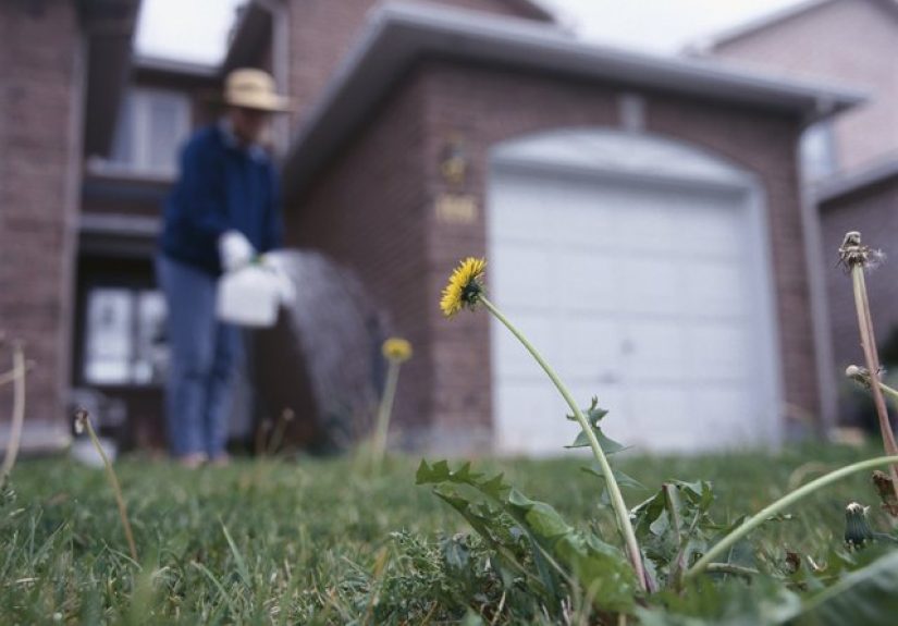 Is Scott's Lawn Fertilizer Safe for Kids?