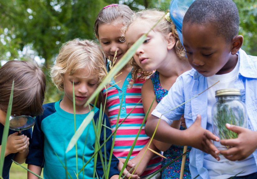 Nature-Focused Lessons for Young Students