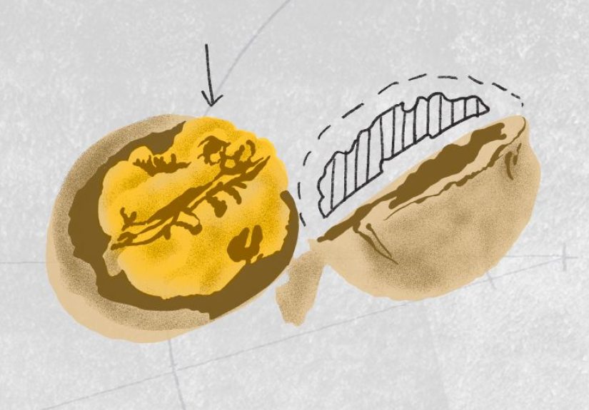 Omega-3: Facts and Myths About Its Health Benefits