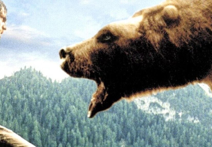 That Time A Bear Almost Got An Oscar Nomination (No, Really.)