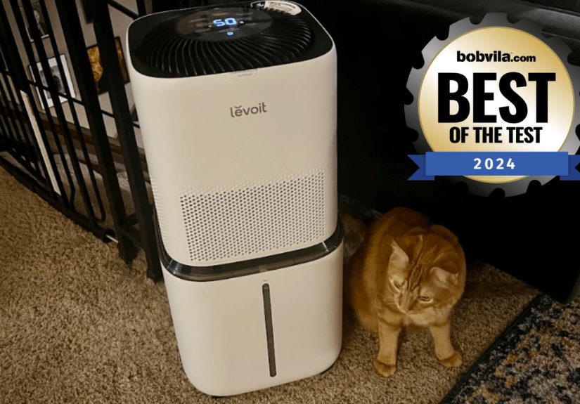 We Tested More Than 100 Home Essentials in 2024, These Are the 8 Best - Bob Vila