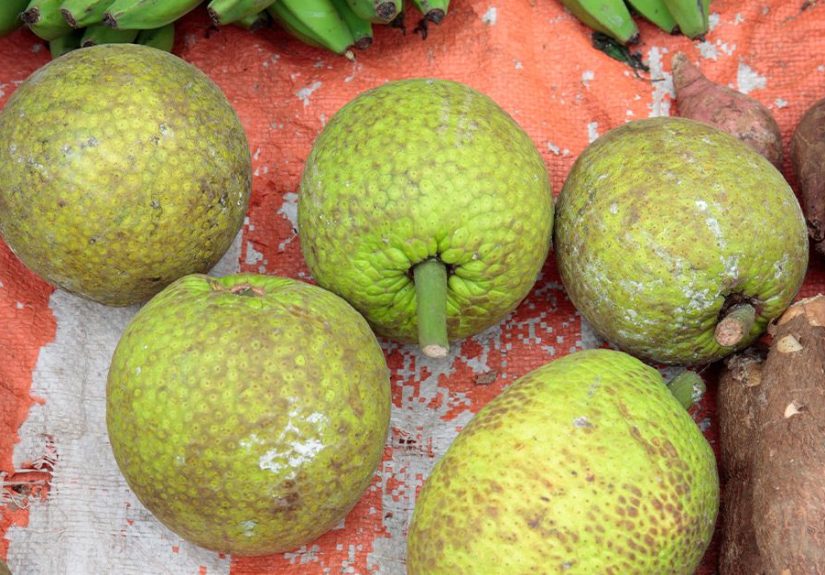 What Is Healthy Eating Without Cultural Foods?