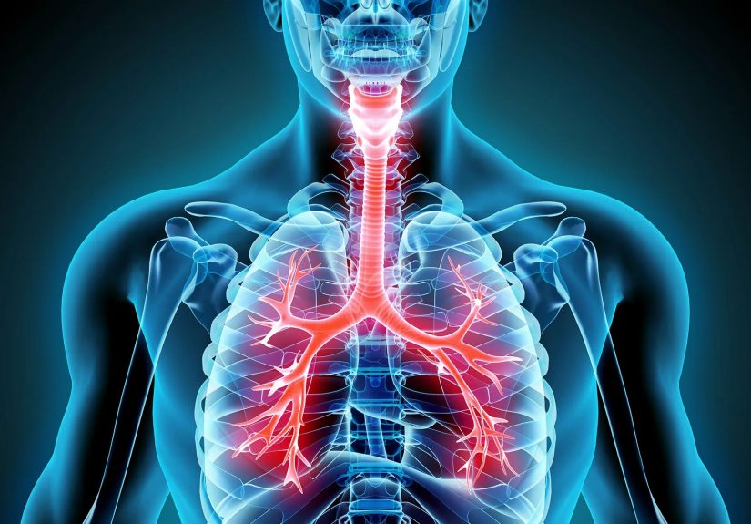 What Is Physiology?