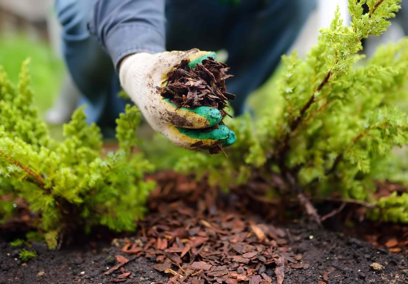 Why December Is the Best Time to Mulch Your Garden, According to Gardening Pros